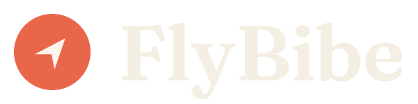 FlyBibe Logo for Dark Background