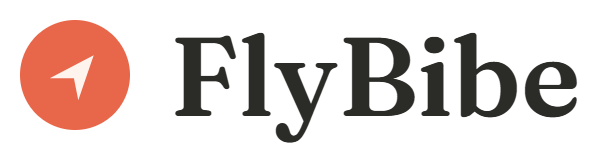 FlyBibe Logo for Light Background